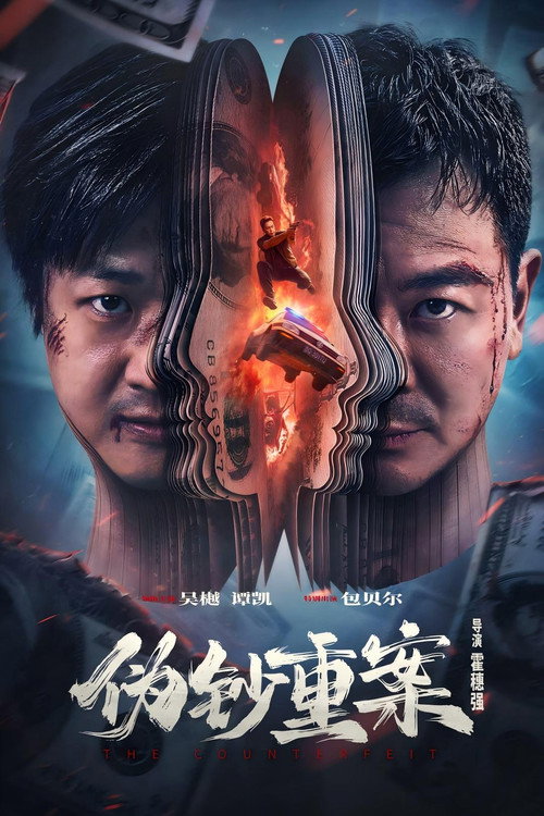 伪钞重案 海报