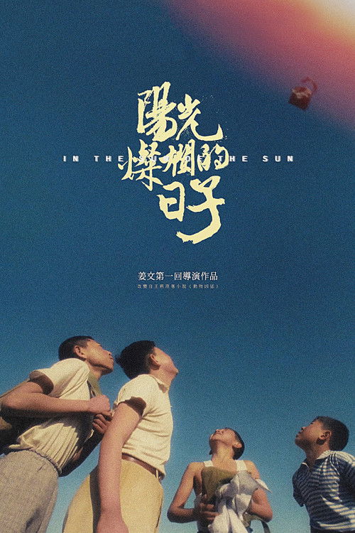 阳光灿烂的日子 海报