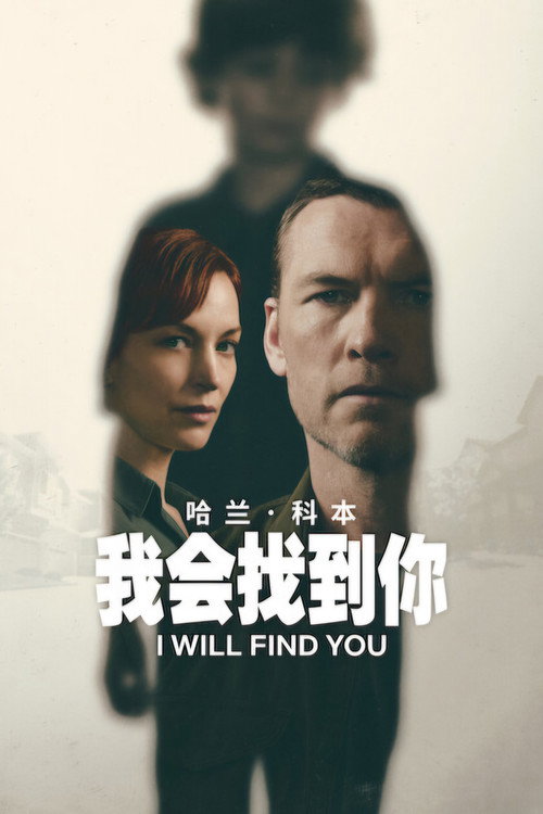 我会找到你 海报