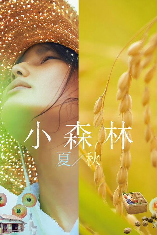 小森林：夏秋篇 海报