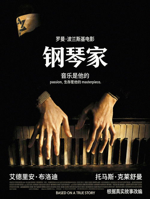 钢琴家 海报