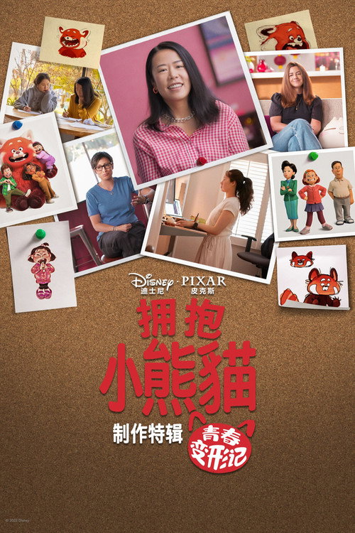 拥抱小熊猫：青春变形记背后的故事 海报